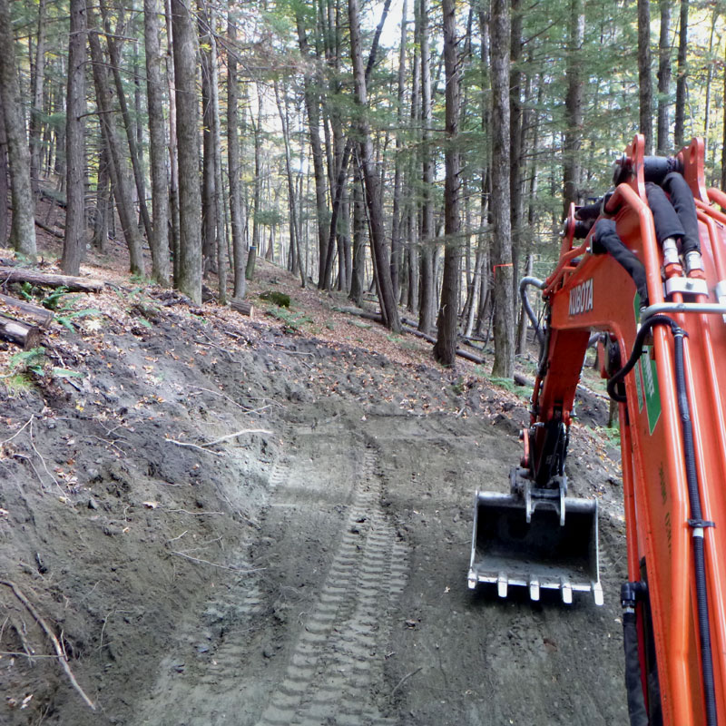 Stumbling across many new-to-me mushrooms, scouting ahead for each next section of digging on the new trail through U-32 Forest.