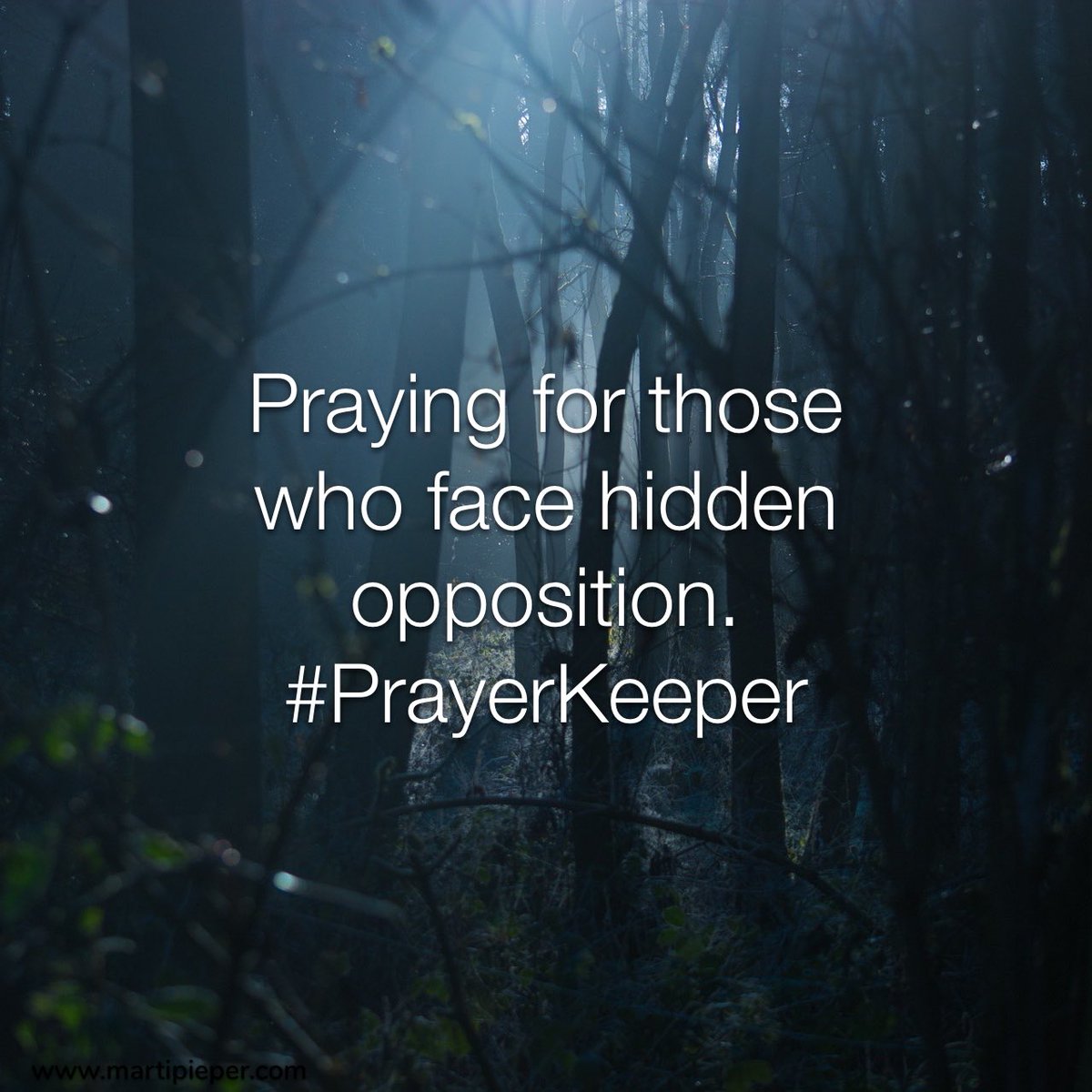 MartiPieper's tweet photo. Eyes to see. #PrayerKeeper #ampraying https://t.co/IV9O65zLsG