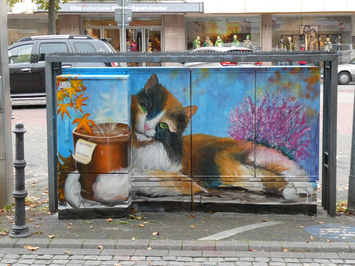 akkolady's tweet photo. Cat Content
https://t.co/YXEdfEnB93
#Moers #Verteilerkasten #VerteierkästeninMoers #2Bilder #1Karte
https://t.co/Au0garUNzn https://t.co/SsNycpxCpN