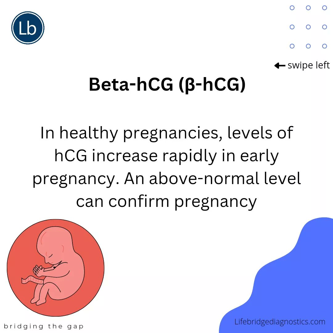 LifebridgeMDC's tweet photo. In healthy pregnancy, levels of hCG increase rapidly in early pregnancy. An above normal level confirm pregnancy. For your pregnancy test, visit us at
15A Yawuri street Garki 2, abuja
#pregnancy #bloodtest #pregnant #pregnantwomen #health #lifebridge #lifebridgediagnostics https://t.co/LAoTcDvRcD