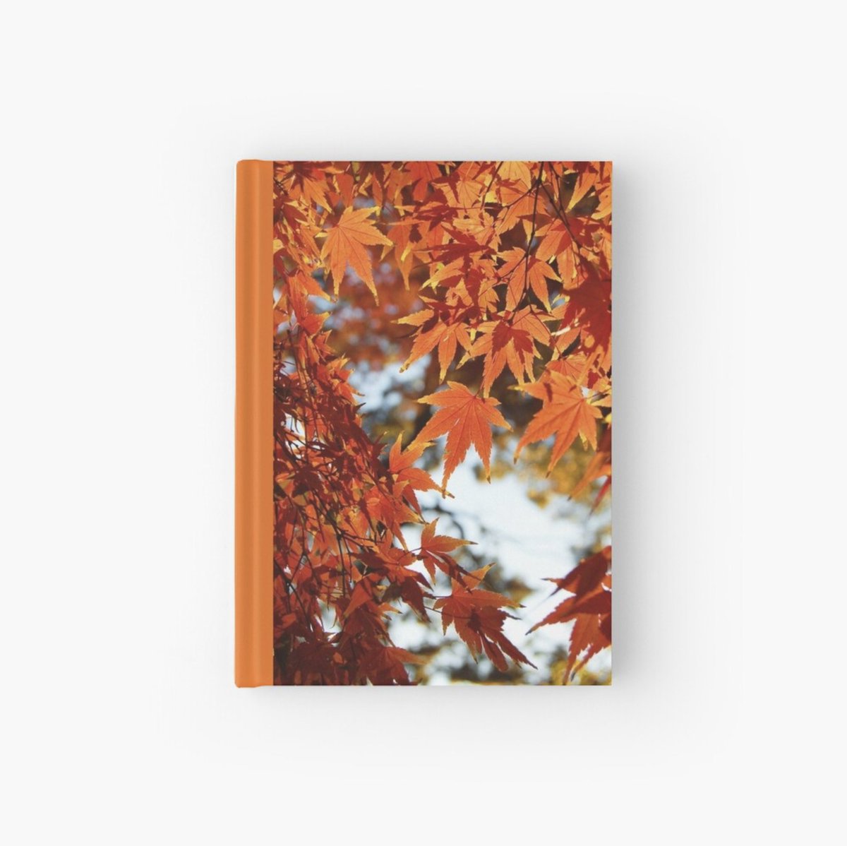Italian_Style's tweet photo. Top story: @paulaannev: 'Autumn leaves on items in my #Redbubble shop https://t.co/0nF5DUwgcE Something for everyone #GiftIdeas #Fall #FallLeaves #Autumn #AutumnLeaves #Trees #Nature #NaturePhotography #SupportSmallBusi… https://t.co/MfzzKjSbgb, see more https://t.co/TCCQORHzRZ