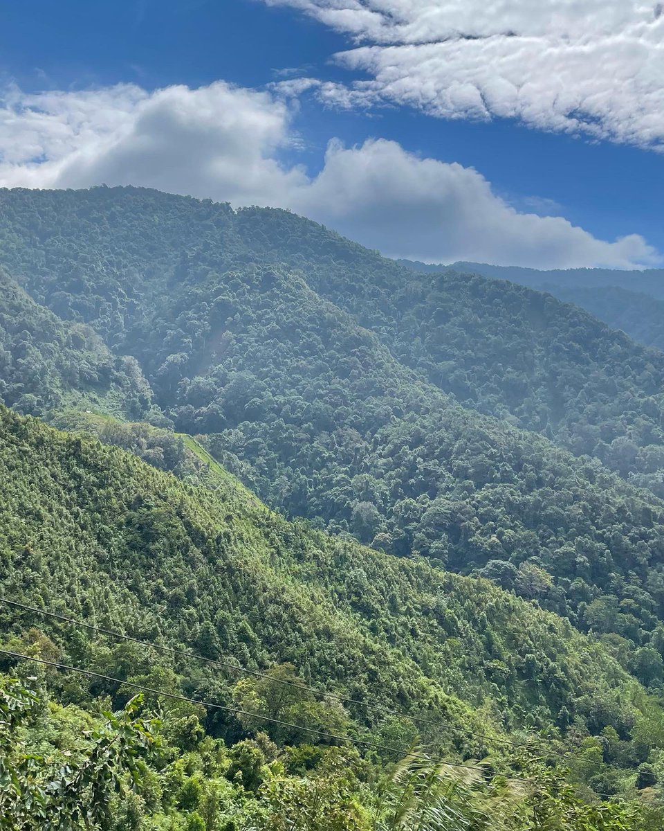 Onetarn's tweet photo. น่านครั้งแรก แต่มันจะไม่ใช่ครั้งเดียวแน่นอน ⛰️💚

#บ้านห้วยโทน #น่าน #Nan

#ReviewThailand #รีวิวไทยแลนด์ https://t.co/W0EASiKZdP