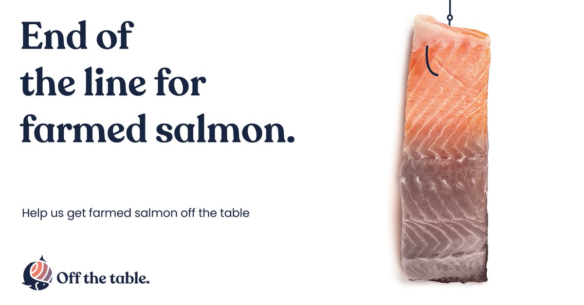 Did you know it takes 1kg of wild fish, anchovies, mackerel, sardines etc to produce 1kg of farmed salmon? Yes, they catch wild fish and feed it to farmed salmon.