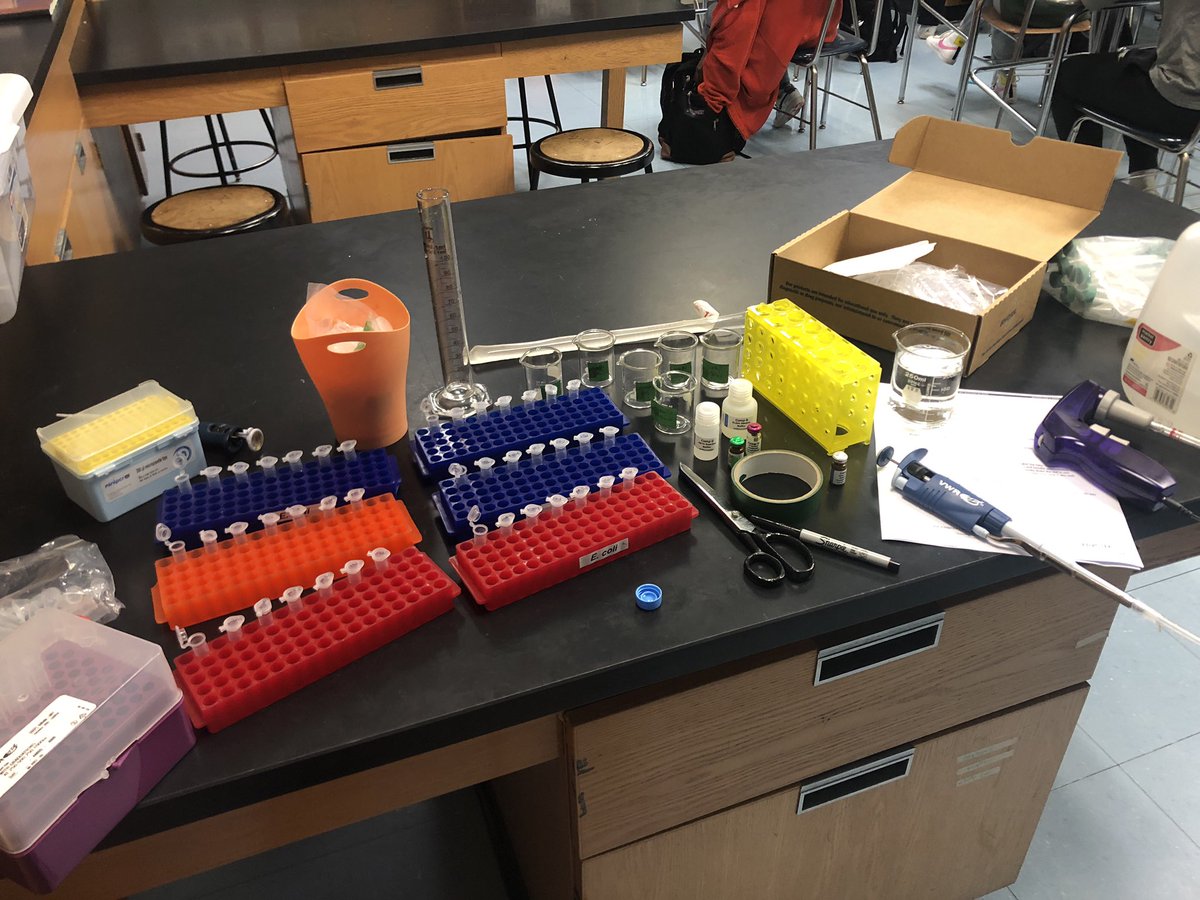 In my happy place. It’s ELISA day! It’s also remarkable how different kids’ perceptions of this lab are with the ubiquity of rapid COVID tests…