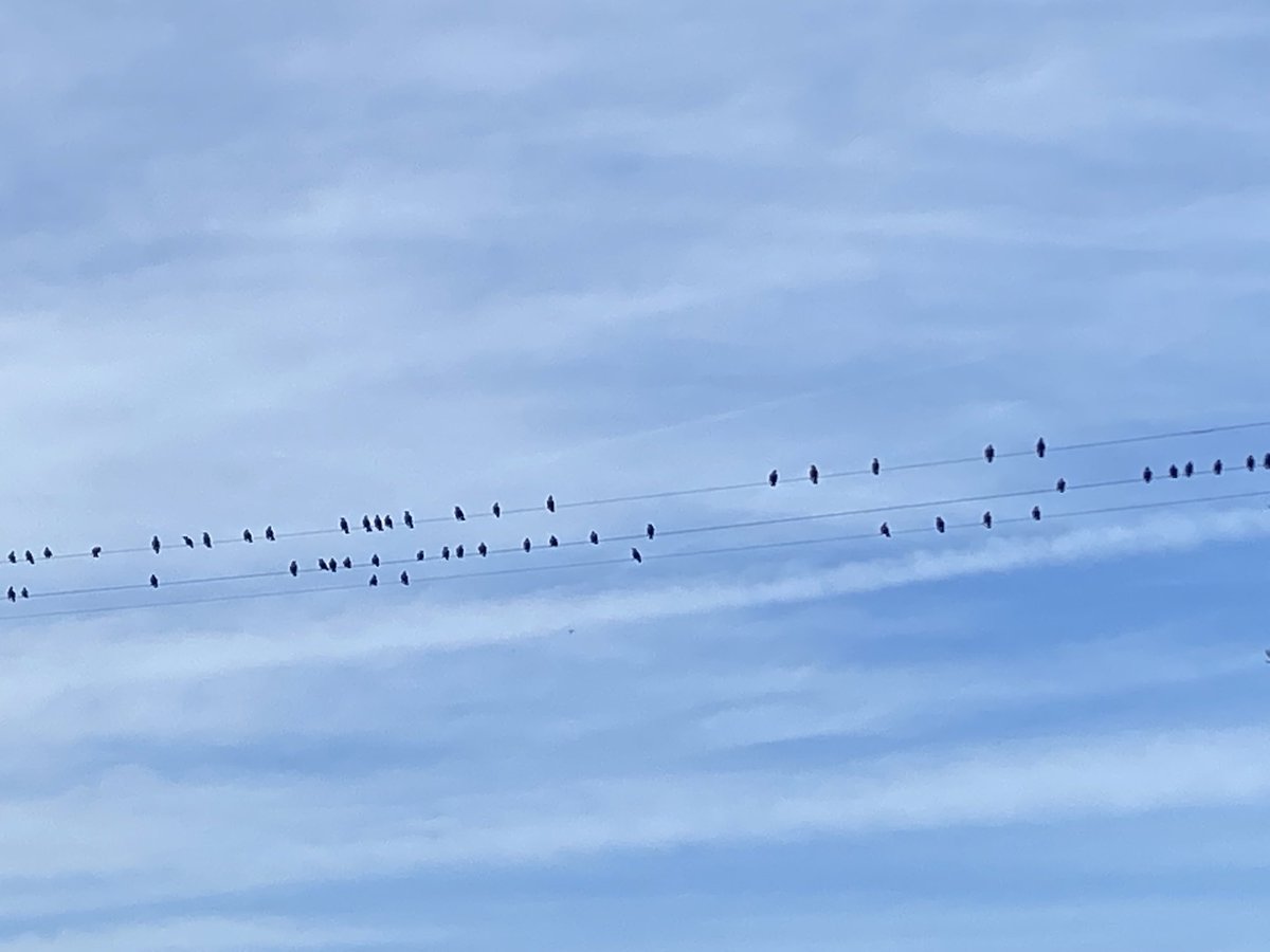 If you know, you know! Time to order your Mycotoxin binder 😬