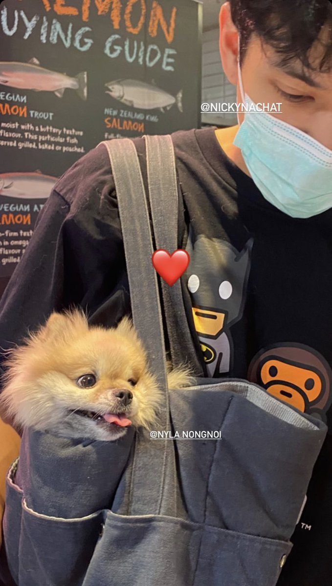 tooktunks's tweet photo. ❤️❤️❤️ #นิกกี้ก้อย https://t.co/u8uLuaEk2K