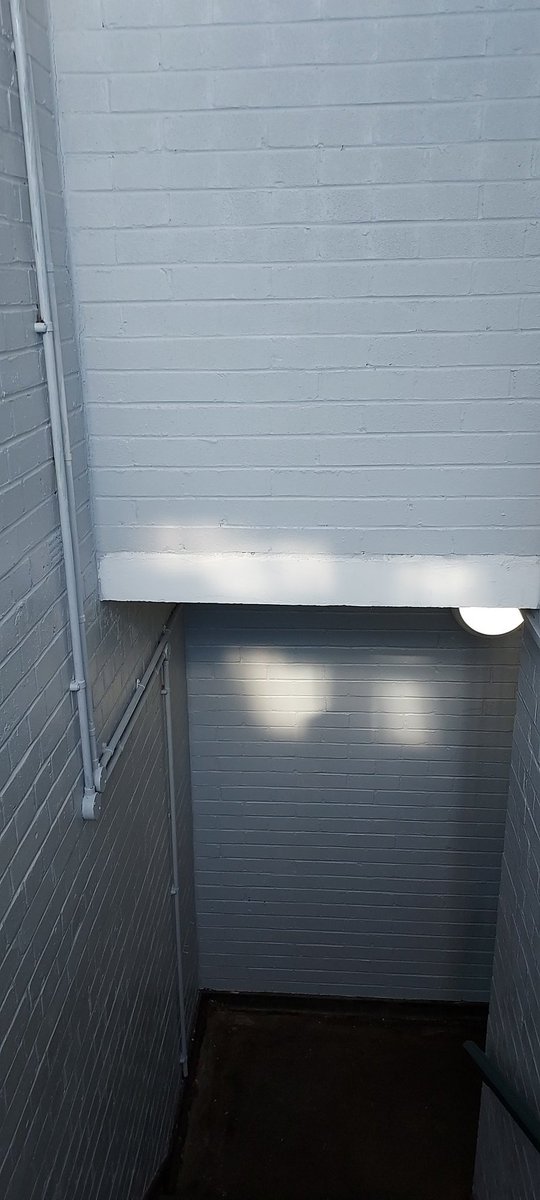 New notice boards and fresh internal paint at Henley Hse, an improvement for the  communal space for our residents!💯 #teampurple @pa_housing