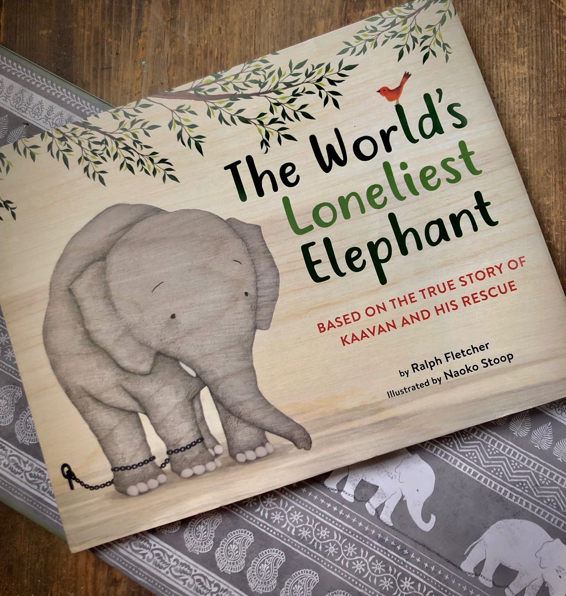 Today is the day! Happy book birthday to “The World’s Loneliest Elephant”!!🐘🎂📚❤️ #kaavan #freekaavan #theworldsloneliestelephant