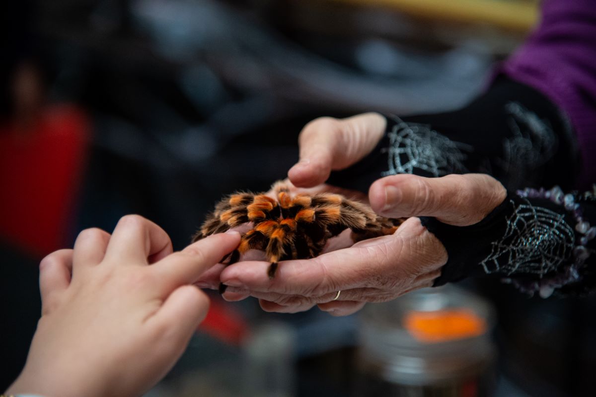 Profitez des vacances de la Toussaint pour faire le plein d’activités au Jardin des Plantes ! Découvrez les nouvelles expositions de l’automne, partez en famille à la rencontre d’une nouvelle expérience en réalité virtuelle et frissonnez à la Ménagerie 👉 bit.ly/3yOr4JH