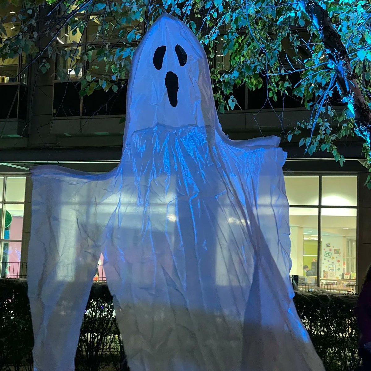 Halloween programs start this Saturday, #LdnOnt! Details: buff.ly/3s2kZ8G 
👻 Halloween Storytime
🎃 Spooky Movie
👻 Halloween Costume Party
🎃 Coding with Sphero (Ages 11+) – build a Halloween obstacle course
👻 Spooktacular Halloween Haunted Forest