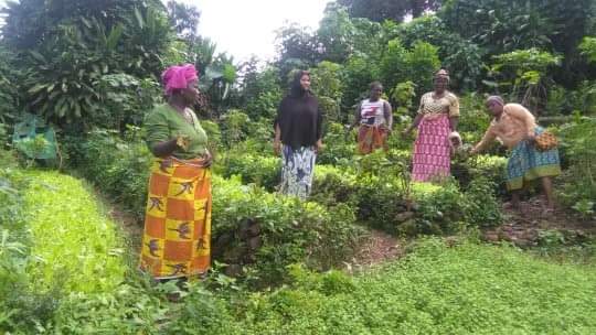 Foundation for Rural and Urban Transformation tweet media