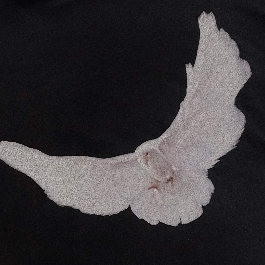 SkyHighh777's tweet photo. [SƠN TÙNG M-TP UPDATED FB]
"🌊🌊🌊

🕊🕊🕊"
___

Anh đi đâu đấyyy?👀

#SonTungMTP https://t.co/cNrcEtipad