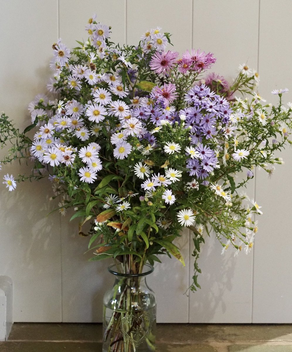 FrankieDev's tweet photo. Week 42 #somethinginavase is a bunch of cheery asters which are currently doing a great job of cheering up the garden. https://t.co/jEfXlwhwCK