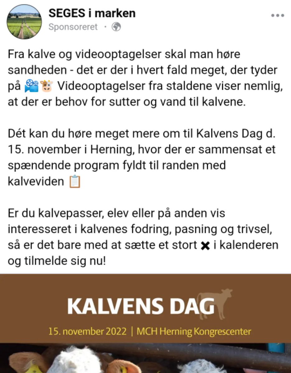 GraarupSofie's tweet photo. Eller, #SEGES - og pas på, fordi nu siger jeg noget helt ekstremistisk og rabiat: Måske har kalvene bare brug for deres mor?
#dyrevelfærd #kalve https://t.co/wqRDZpEttZ