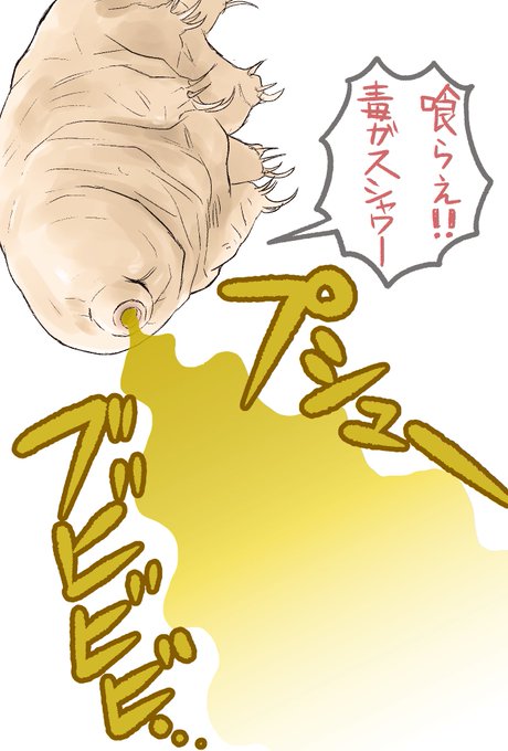 1iydgxcz Zwhkm 1iydgxcz Zwhkm