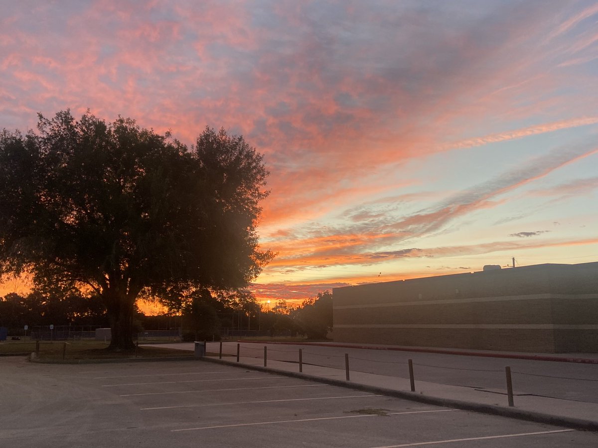 Coach Flores tweet media