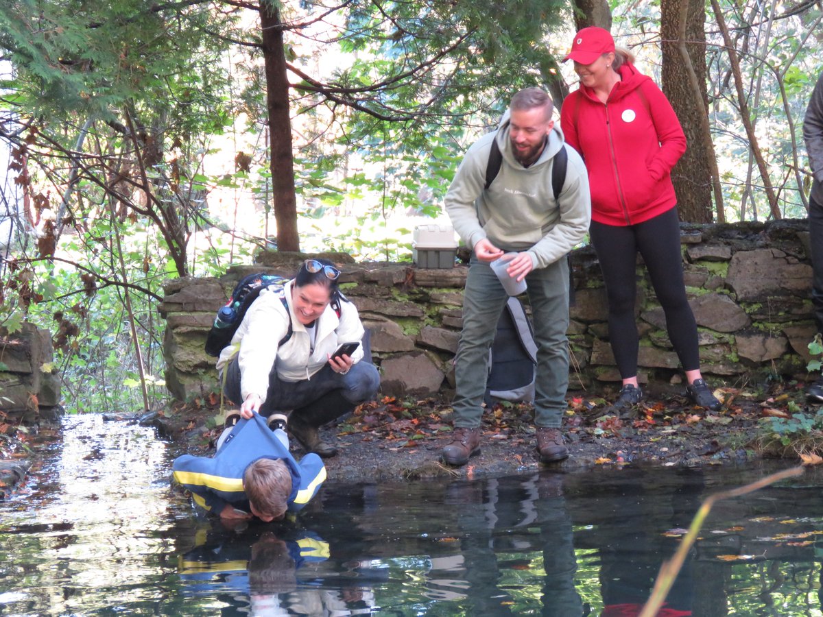 Orenda Springs tweet media