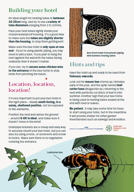 So excited to share a sneak peak of some engagement materials we've been developing over the past months with @BPTpermaculture, thanks to support from @SSRP_UoS Impact Fund.More #pollinator info coming to orchards across #Brighton soon!