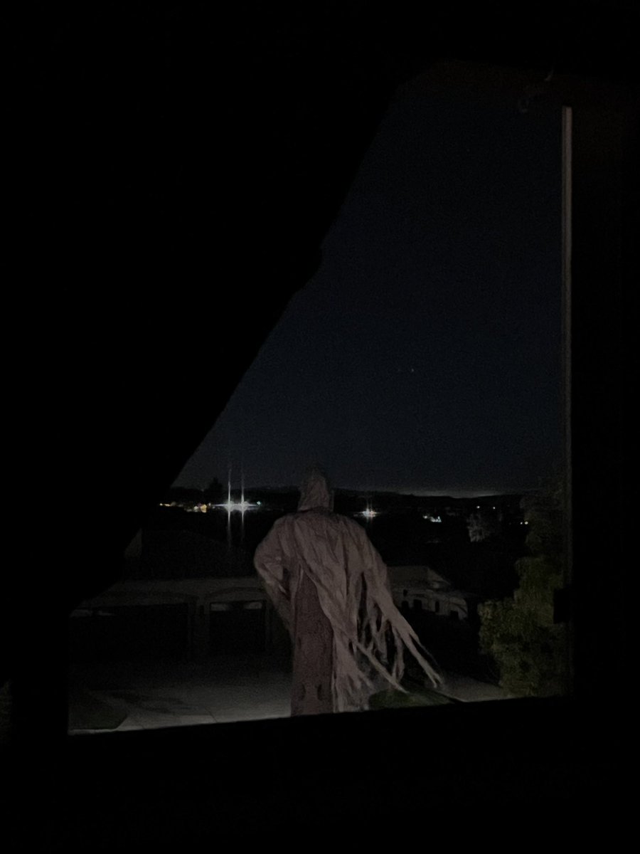 nocbat's tweet photo. Okay it’s a little spooky from my second story window in the middle of the night https://t.co/vUtrXOIl8S