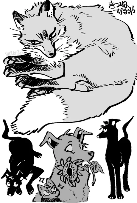 🦊🐱🐶 