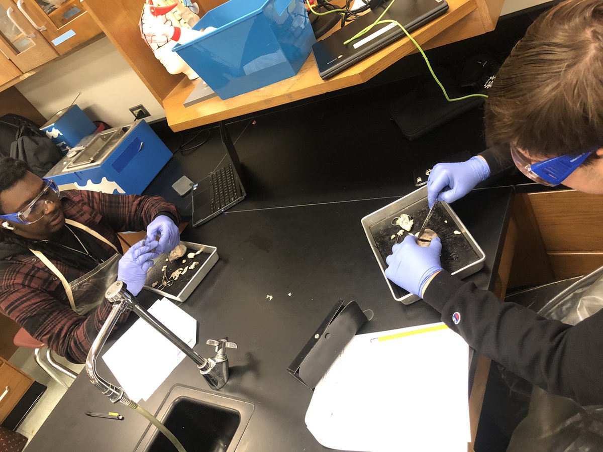 Marissa Kvacky (@kvackyfhs) on Twitter photo Early morning eye dissection in HBS! <a href="/PLTWorg/">Project Lead The Way</a> <a href="/BASDMsSage/">Ms. Sage-FHS</a> <a href="/MrsMiranda210/">Amanda Miranda</a> <a href="/Leesonscience/">Dr. Maureen Leeson</a> <a href="/BethlehemAreaSD/">BASD</a> Early morning eye dissection in HBS! <a href="/PLTWorg/">Project Lead The Way</a> <a href="/BASDMsSage/">Ms. Sage-FHS</a> <a href="/MrsMiranda210/">Amanda Miranda</a> <a href="/Leesonscience/">Dr. Maureen Leeson</a> <a href="/BethlehemAreaSD/">BASD</a>