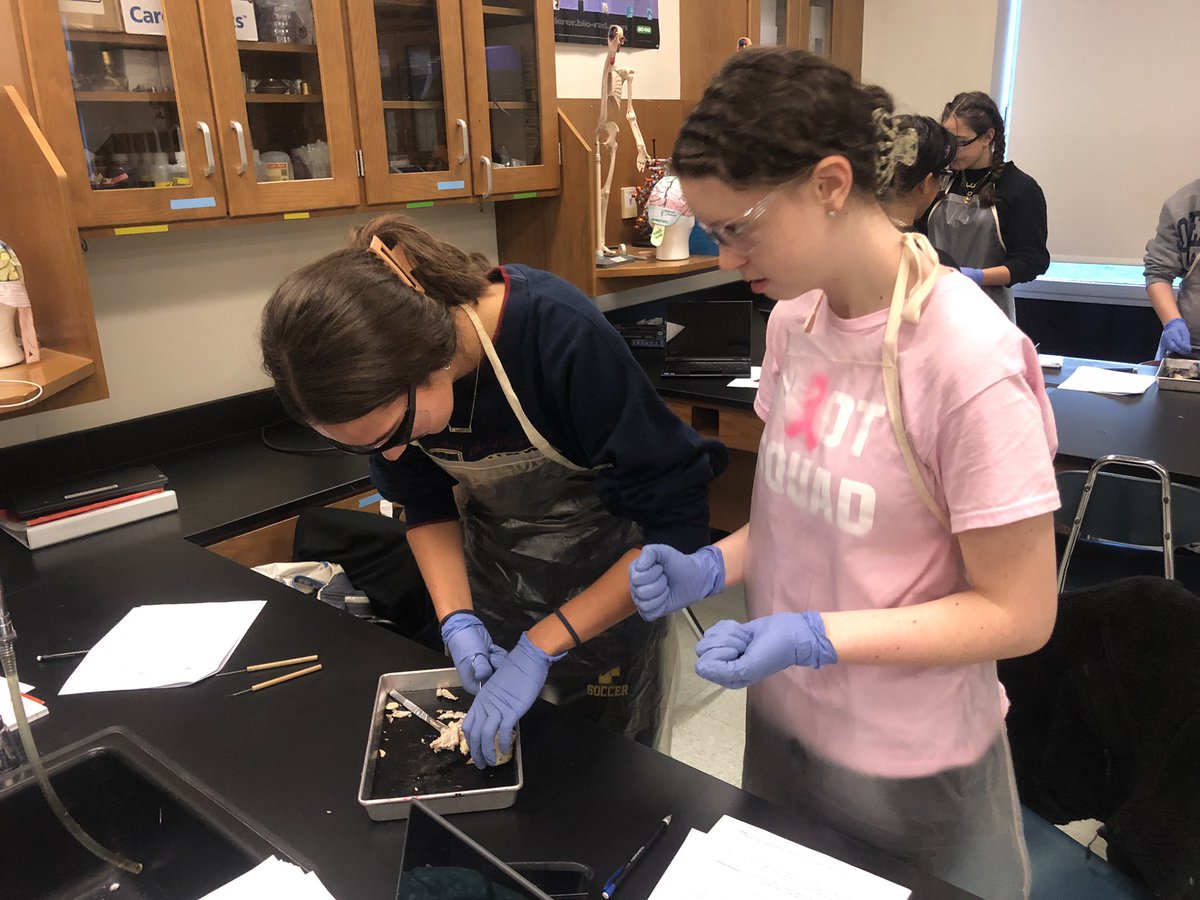 KvackyFHS's tweet photo. Early morning eye dissection in HBS! @PLTWorg @BASDMsSage @MrsMiranda210 @Leesonscience @BethlehemAreaSD https://t.co/lkFp8nQUBo