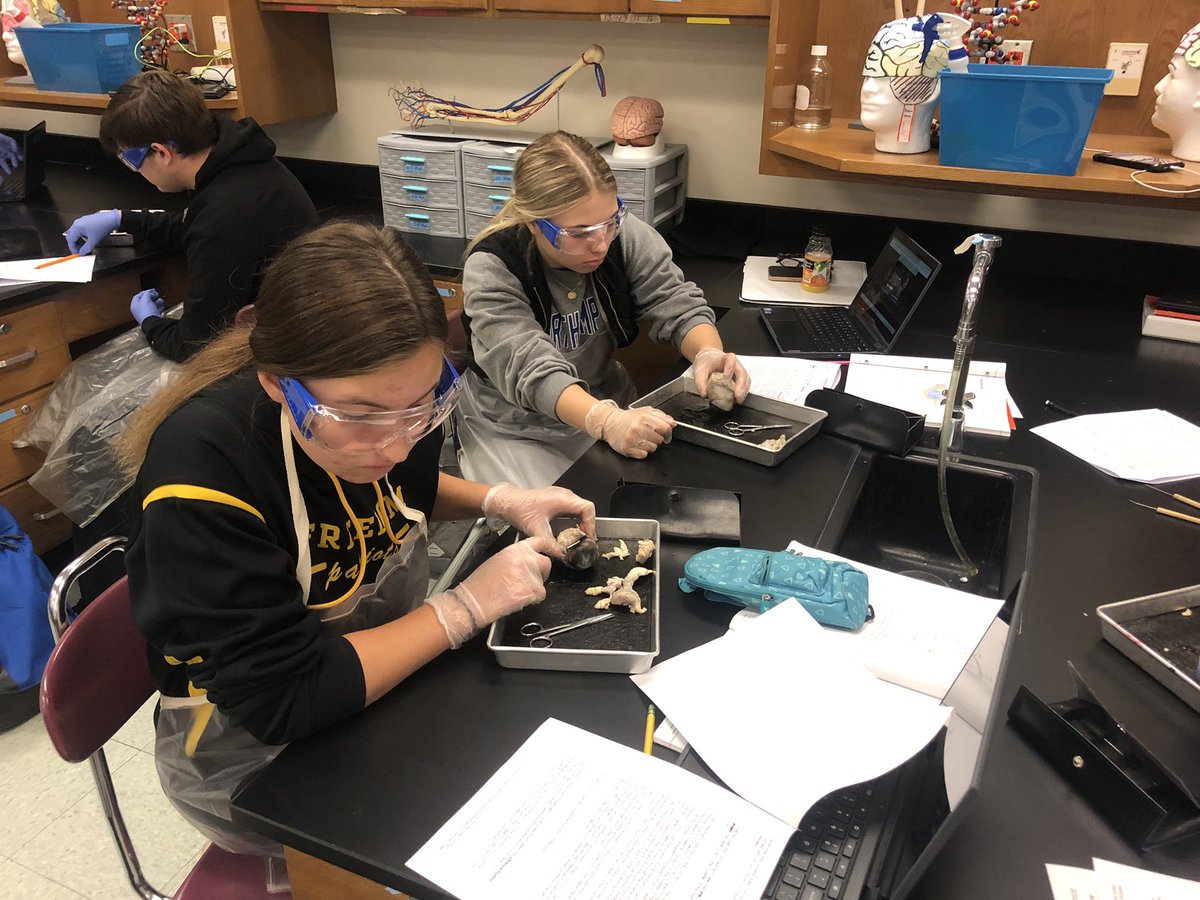 KvackyFHS's tweet photo. Early morning eye dissection in HBS! @PLTWorg @BASDMsSage @MrsMiranda210 @Leesonscience @BethlehemAreaSD https://t.co/lkFp8nQUBo