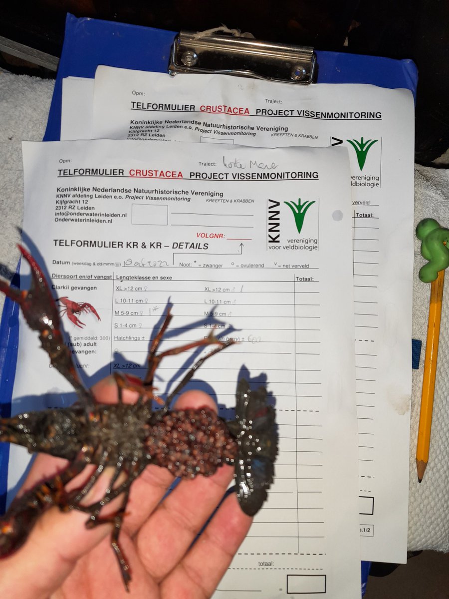 <a href="/Stadsgrachten/">Aaf Verkade</a> <a href="/Singelpark/">Singelpark</a> <a href="/IVN_Leiden/">IVN Leidse regio</a> @KNNV2ehandsboek <a href="/dwskkm/"> douwe sikkema</a> door de #studenten van Lammermarkt 65, die een bakje brachten, is ze lieflijk 'Bertha Schutters' gedoopt. #buurtcohesie <a href="/Fonds1818/">Fonds 1818</a>
#educatie #biodiversiteit