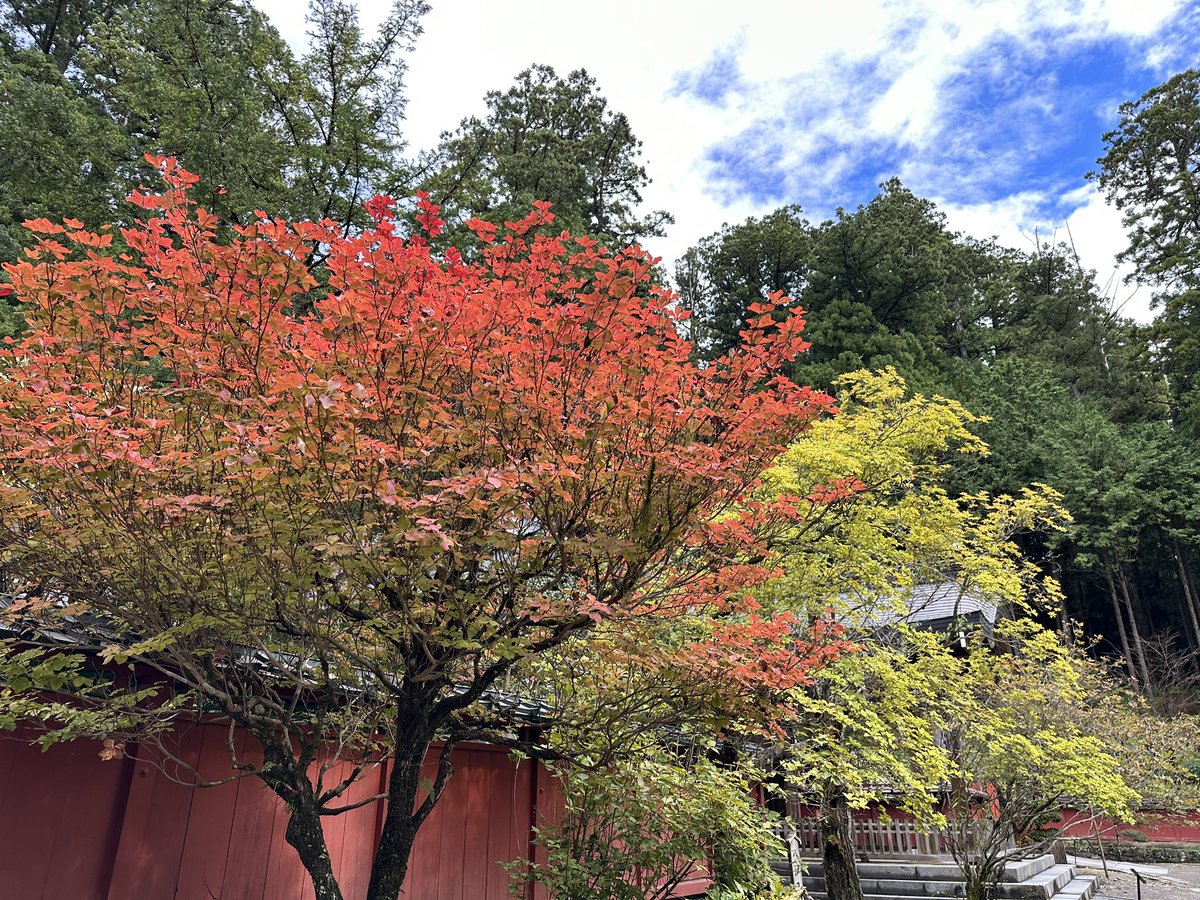 kaiunmagnet's tweet photo. 【二荒山神社】
栃木県日光市東照宮の隣にある二荒山神社🌳
神苑に行くには拝観料（300円）かかりますが、御神木、御神水、七福神など見所たくさんです！

#二荒山神社　#栃木県 #日光　#日光旅行  #神社仏閣 #神社仏閣巡り  #商売繁盛 #良縁祈願 #御神木 #開運 #日本の神社　#パワースポット #旅行 https://t.co/P5MqyLzGo0