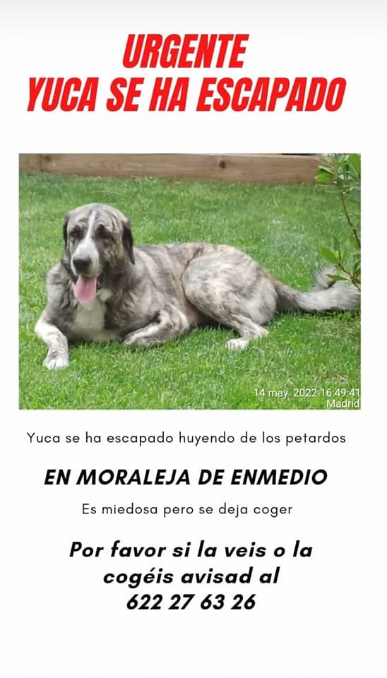 siviaromera1's tweet photo. YA EN CASA https://t.co/DpBeLWUeLp