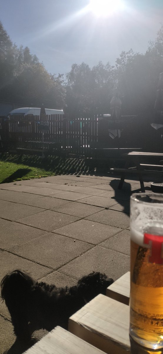 Last day before back to see. Stopped off at the Eagle Inn which is one of the few places which is dog friendly in the area and has great service and food.