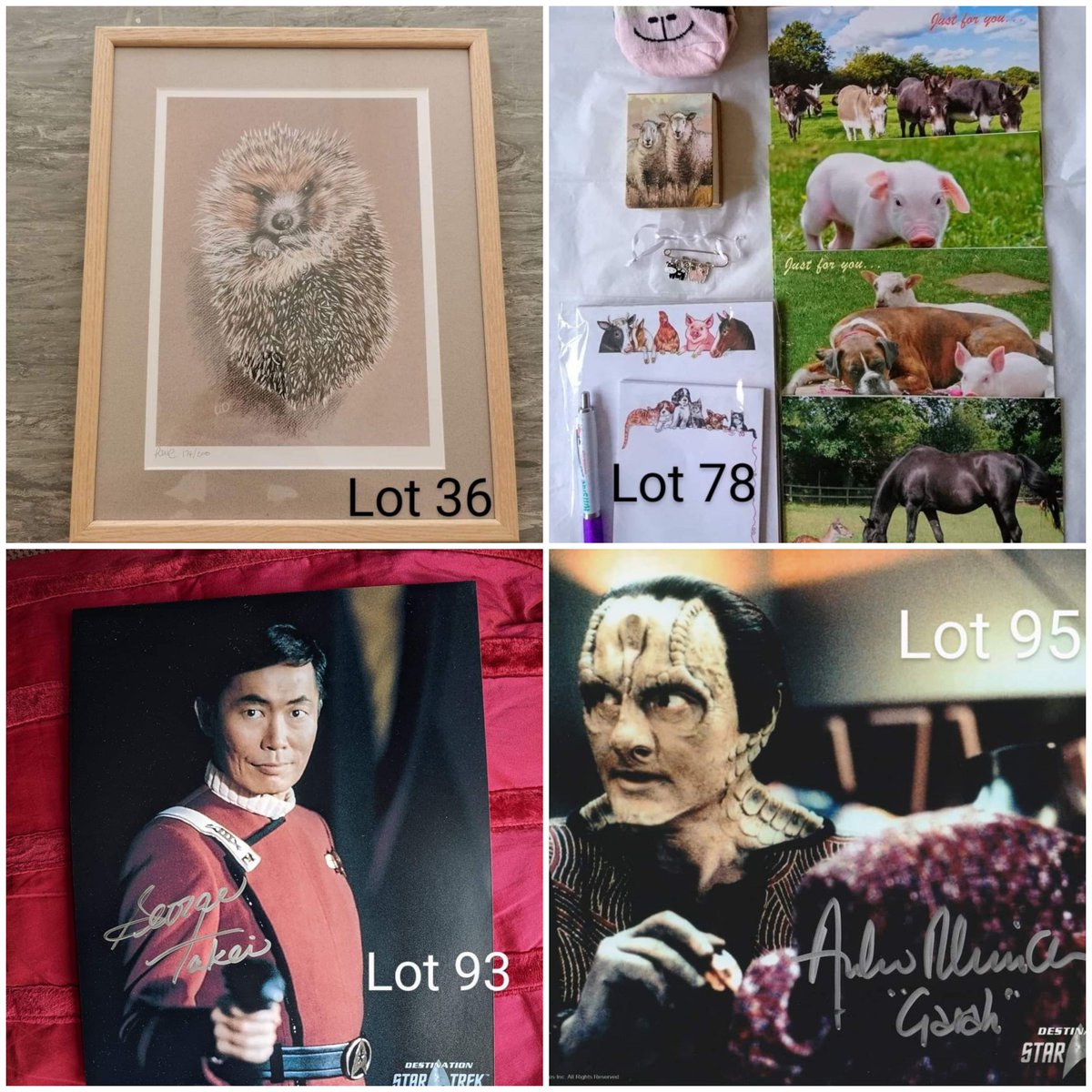 Nesquik1962's tweet photo. Hi everyone,haven't you bid on Facebook yet?Go to #OneVoiceforAnimals on Facebook to take part in their #AutumnAuction. Find a cause or rescue,see a lot you like & bid (see instructions)The cause gets money & you get a gift. Support #wildlife #CharityTuesday
@OneVoiceforAni1 https://t.co/YkdP9XVV4M