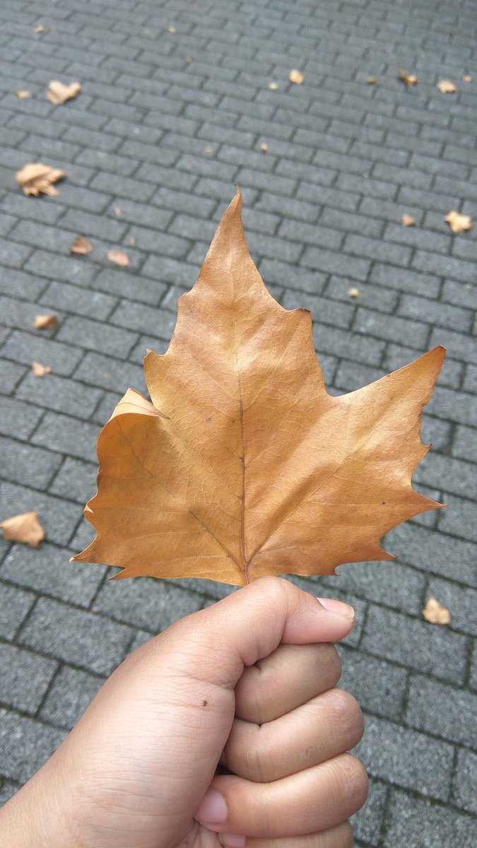 eaJParWave's tweet image. Hi Jae just wanna say thank you for your hard working, for not giving up, i actually wrote this note for myself, but i guess you do the same things, even bigger than what i do, so i just want to say to you too. YOU ARE BRAVE ENOUGH TO GO THRU ALL THINGS, YOU'VE MADE IT @eaJPark