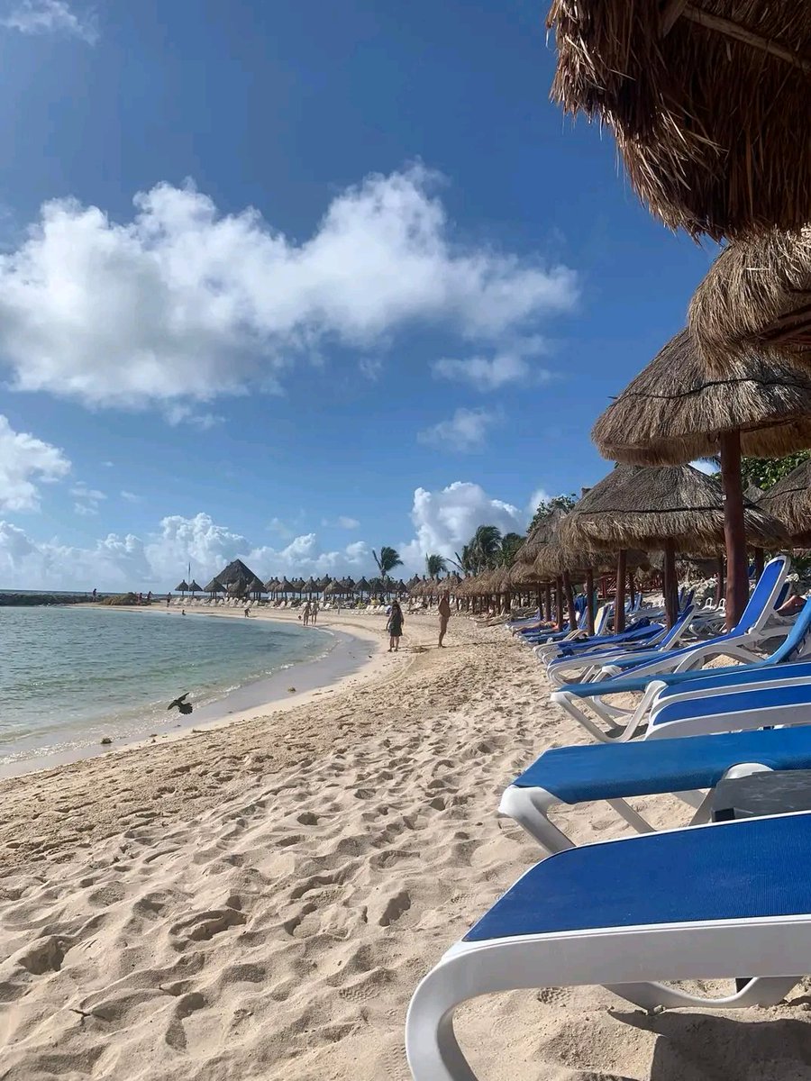 Brucemayer466's tweet photo. ⛱️🏖️🏖️😊Aimer la plage https://t.co/M0lyYiiXAd