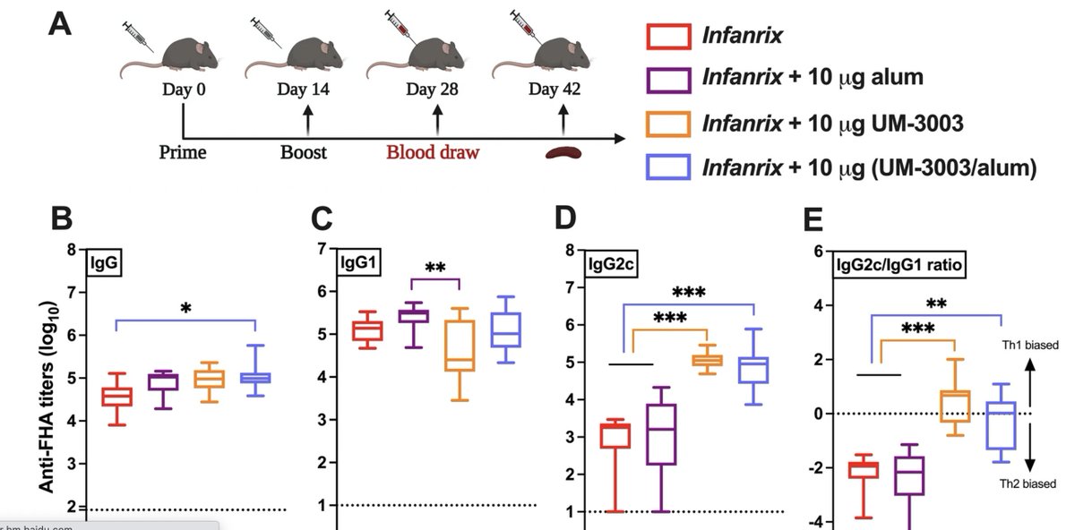 New article in <a href="/SciReports/">Scientific Reports</a> led by <a href="/PrecVaccines/">Precision Vaccines Program</a> researchers Drs <a href="/David_J_Dowling/">Dr. David J. Dowling, Ph.D.</a>, <a href="/SoumikBarman3/">Soumik Barman</a> &amp; <a href="/levy_o/">Dr. Ofer Levy, MD PhD</a> indicates a novel small molecule imidazoquinoline TLR7/8 #adjuvant overcomes neonatal hyporesponsiveness to a licensed acellular #pertussis #vaccine. go.nature.com/3D60z52