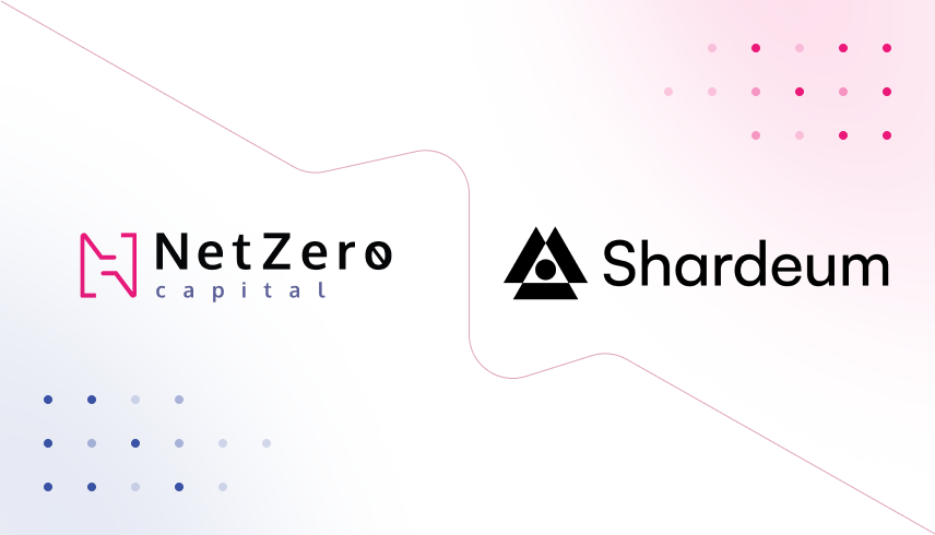 NetZero Capital tweet media