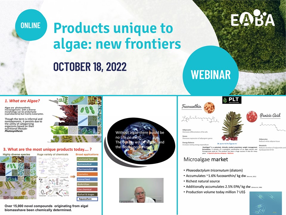EABA_Algae's tweet photo. 💡 "Products unique to algae: new frontiers“: it’s a start!

Discussing with Sammy Boussiba about 👉🏽 the unique biomolecules and their benefits!

 #algae #microalgae #compounds #pigment #fucoidan #laminarin #polysaccharides #colourant #health #food #medical #cosmetics https://t.co/mY2Cal4l7Q