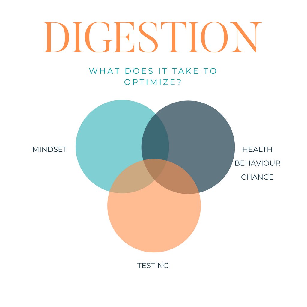 IHITeam's tweet photo. See what we are building here?⁠
⁠
You are one click away from getting access to a gut reset program that's going to change the game.⁠
⁠
It's a cycle, it's a system, it's not a to-do list.⁠
⁠
YOUR DIGESTIVE HEALTH IS IMPORTANT. You're not alone.⁠ https://t.co/pVcazIMdau
