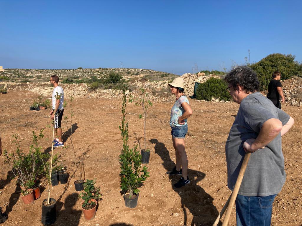 BeaSuKummer's tweet photo. #Afforestation in Malta to stop #climatechange, action, but important for many areas worldwide (action financed by #Kummer_Vanotti_Stiftung) https://t.co/R4QDelacZv