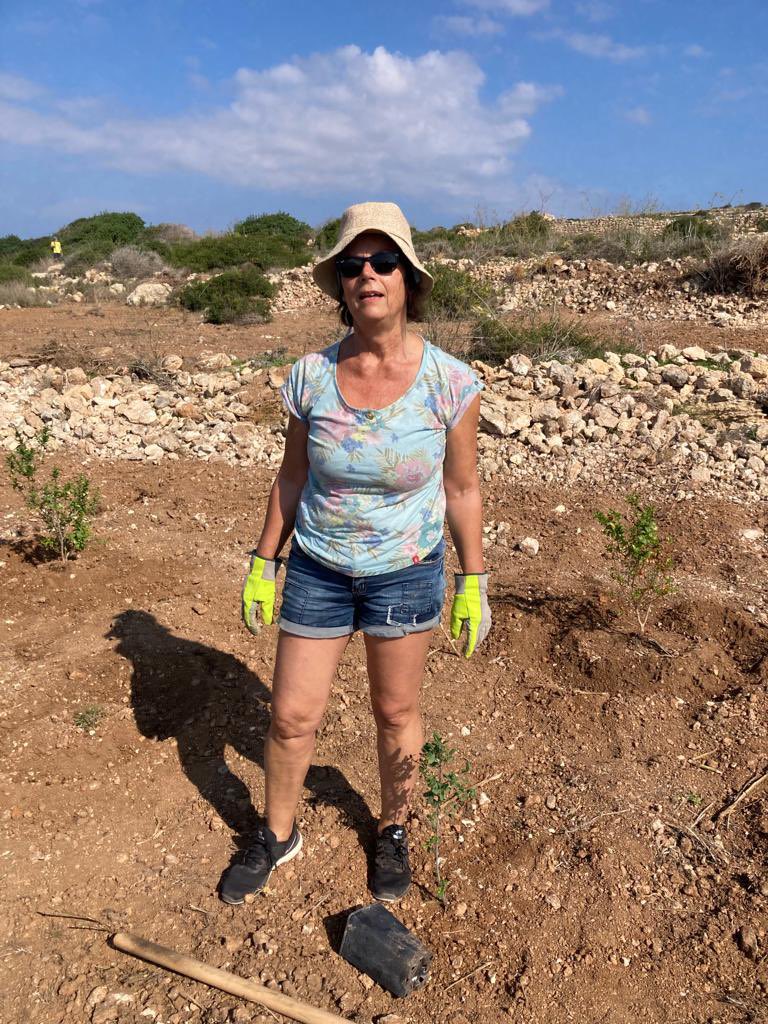 BeaSuKummer's tweet photo. #Afforestation in Malta to stop #climatechange, action, but important for many areas worldwide (action financed by #Kummer_Vanotti_Stiftung) https://t.co/R4QDelacZv