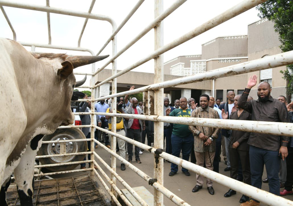 kzngov's tweet image. The Cabinet of KZN paid a visit to His Majesty King Misuzulu kaZwelithini  to formally introduce Members of the Executive Council (MECs) and to get the King’s guidance on various pertinent matters in the province. #GrowingKZNTogether