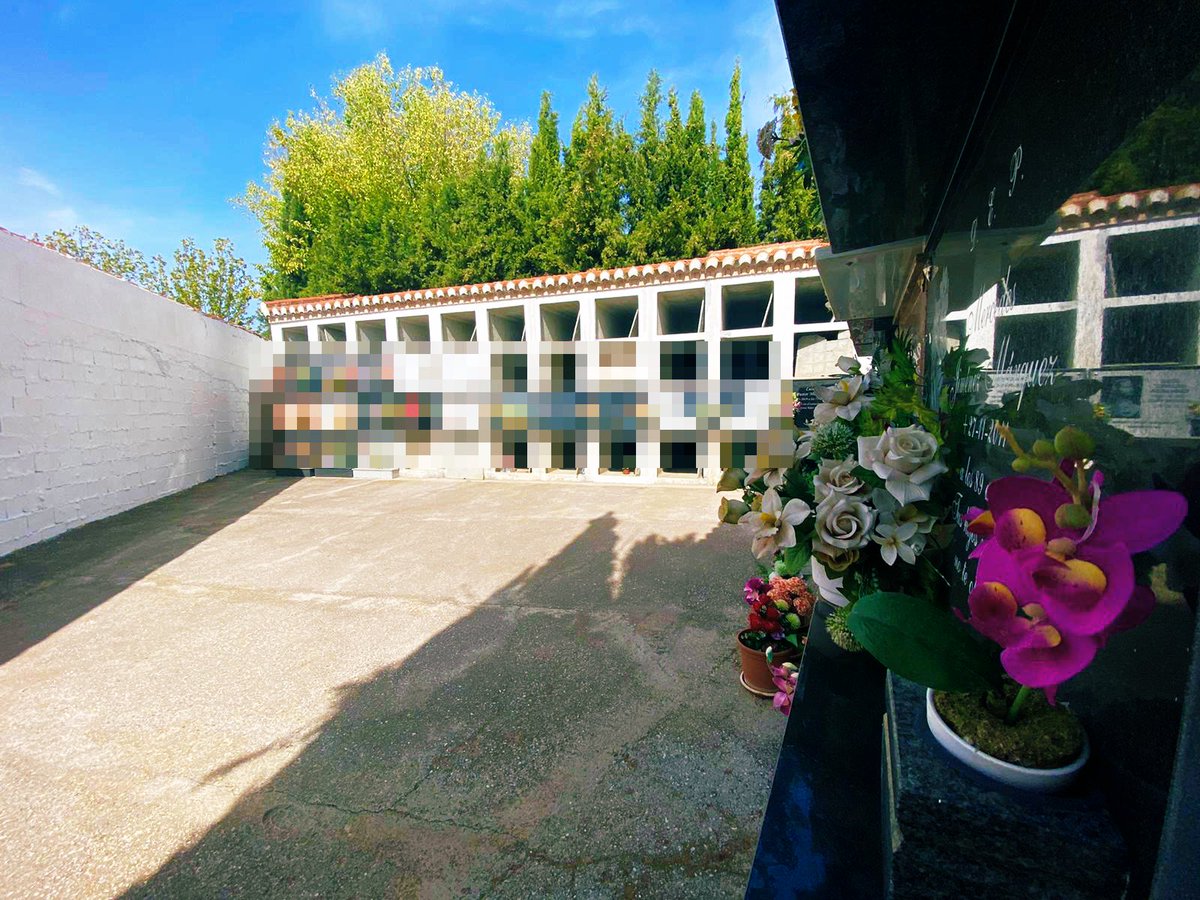 Aurora Suárez tweet media