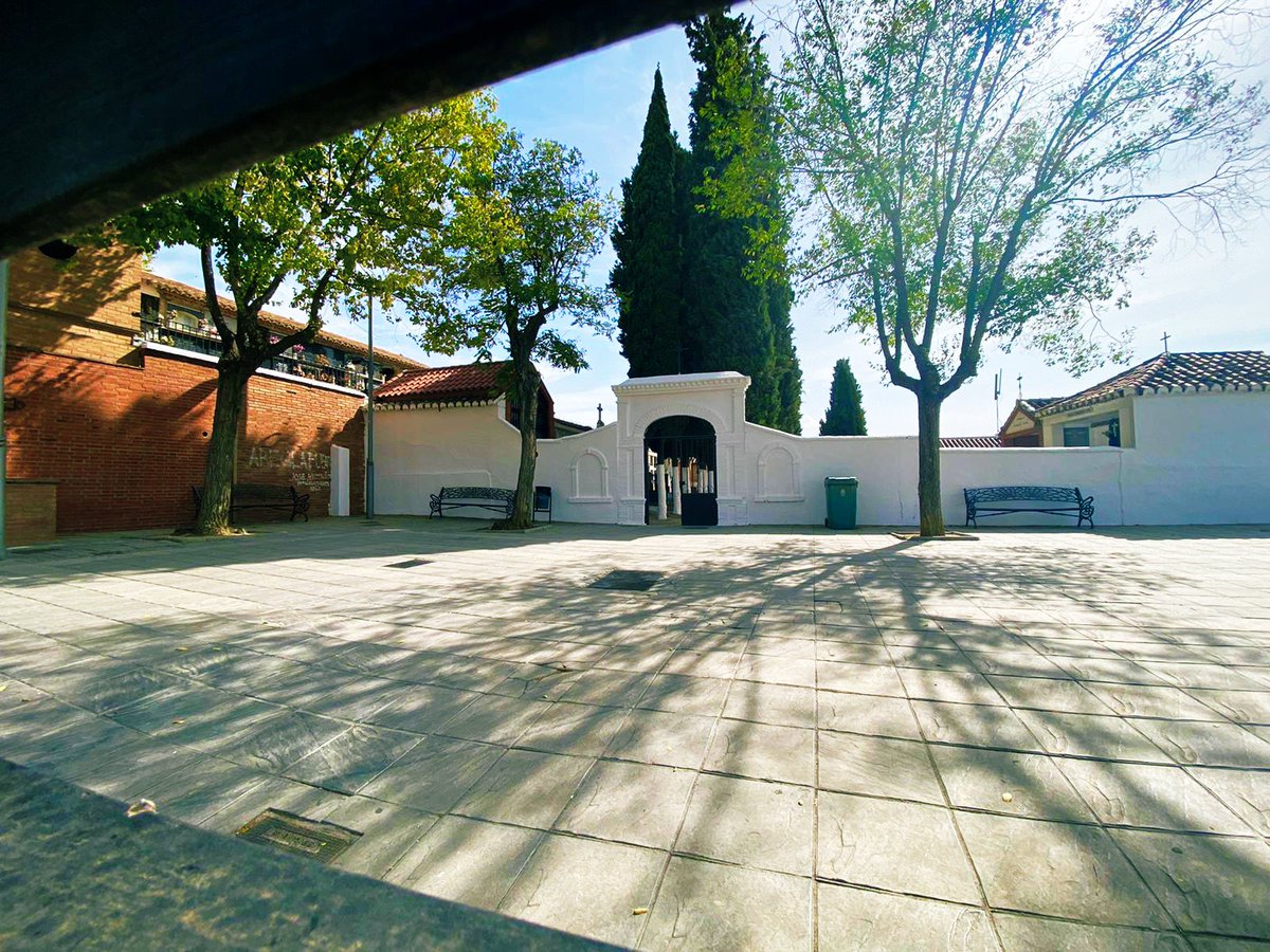 Aurora Suárez tweet media