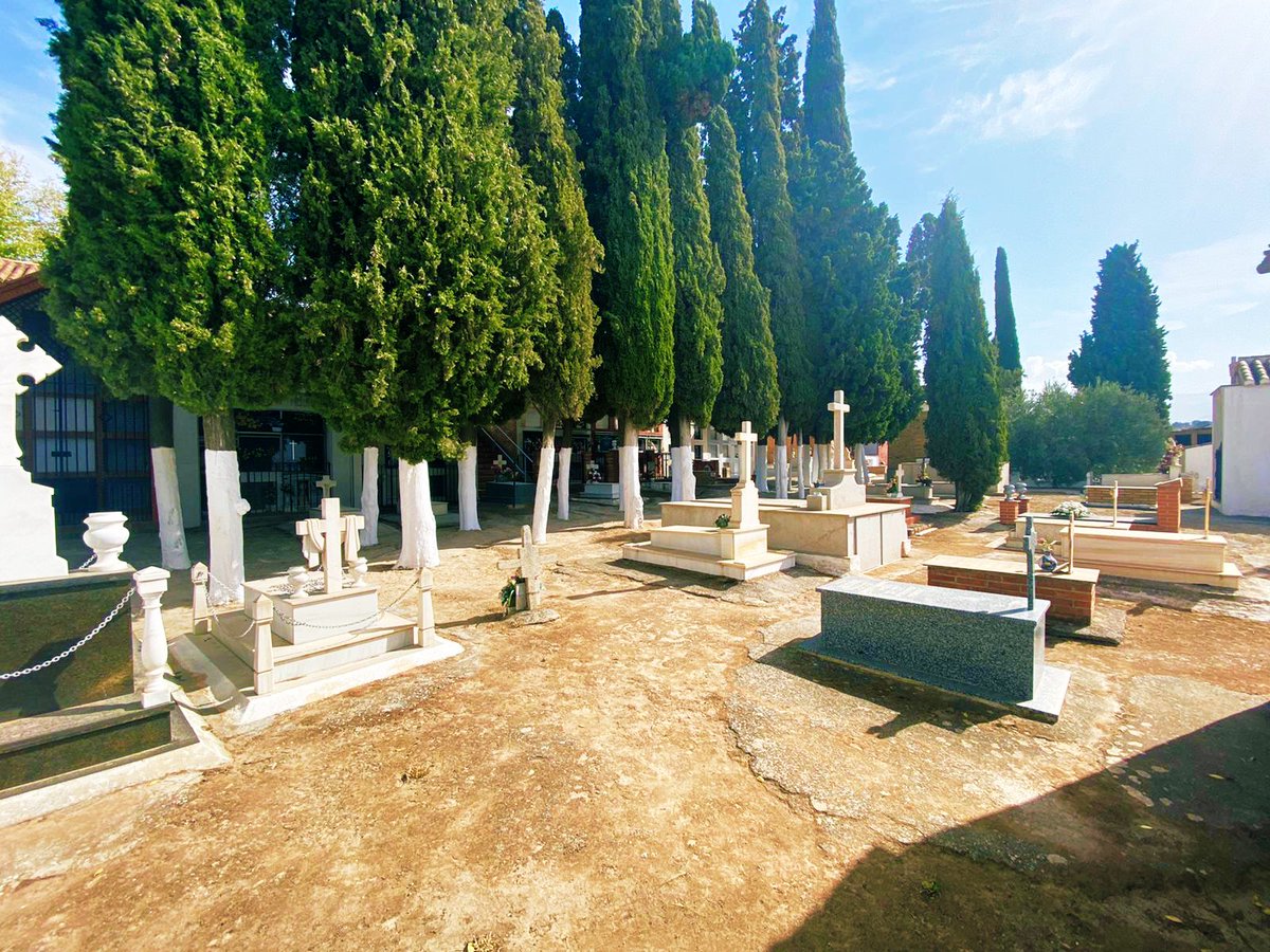 Aurora Suárez tweet media