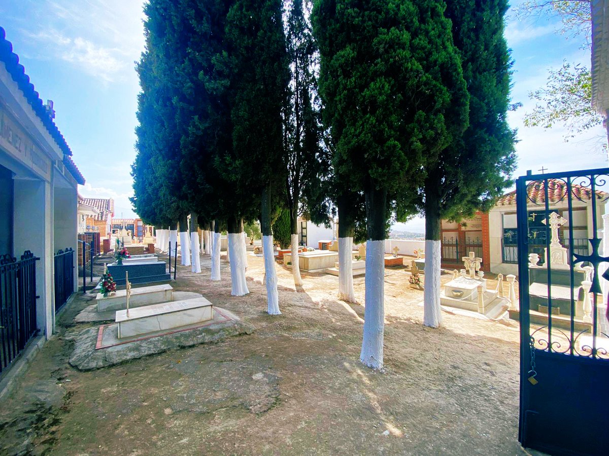 Aurora Suárez tweet media