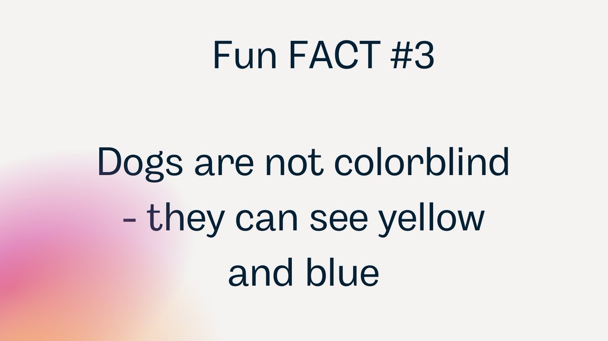 ai_mumei's tweet photo. Some fun facts about dogs that some may not know https://t.co/7R104MVV1n