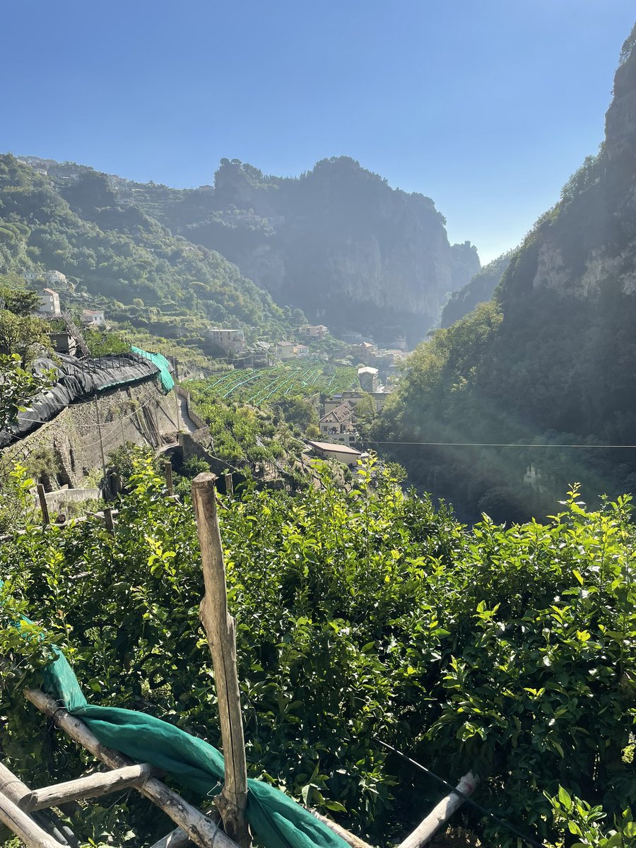 SidLawrenceRoma's tweet photo. Spent a wonderful morning with my extended Famiglia Italiana in Amalfi who run #AgricolaForePorta https://t.co/hxZIWyr8EV Just keep walking up the Valley of the Ferriere and you will receive the warmest of welcomes from Mamma Mena and delicious #slowfood #zerokm treats. 🇮🇹❤️ https://t.co/oi30T3EI9h