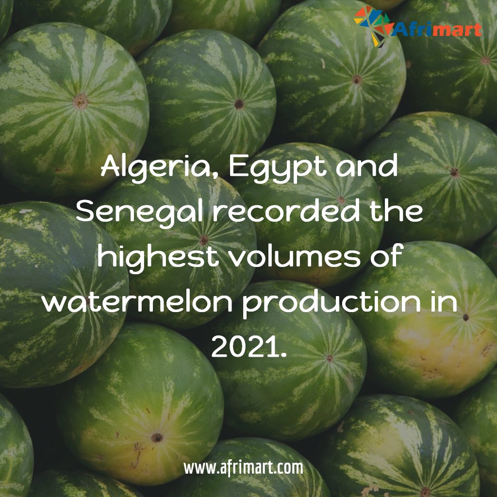 AfrimartTrade's tweet photo. The countries with the highest volumes of watermelon in 2021 were Algeria, Egypt and Senegal, together comprising 65% of total production.
#TradeBeyondBorders #intraAfricaTrade #Afrimart #AfrimartTrade #Biashara #BiasharaYaAfrika #Africa https://t.co/2avTz6NGMx