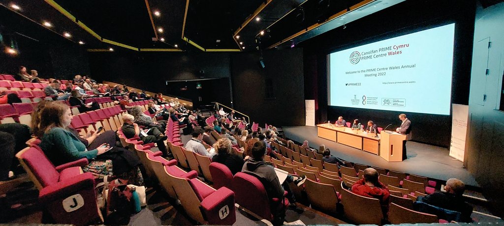 PRIMECentre's tweet photo. Such an interesting Session on International #ChildHealth &amp; #Safeguarding by Prof Sana El Mhamdi, Mr Abdellah Soussi and Dr Christopher Hands
 #PRIME2022  @HSRSwansea @PublicHealthW @HultPrizeUOM @Fondationamn @HEFCW #StarshipChildrensHospital https://t.co/wl2Thlg9wh