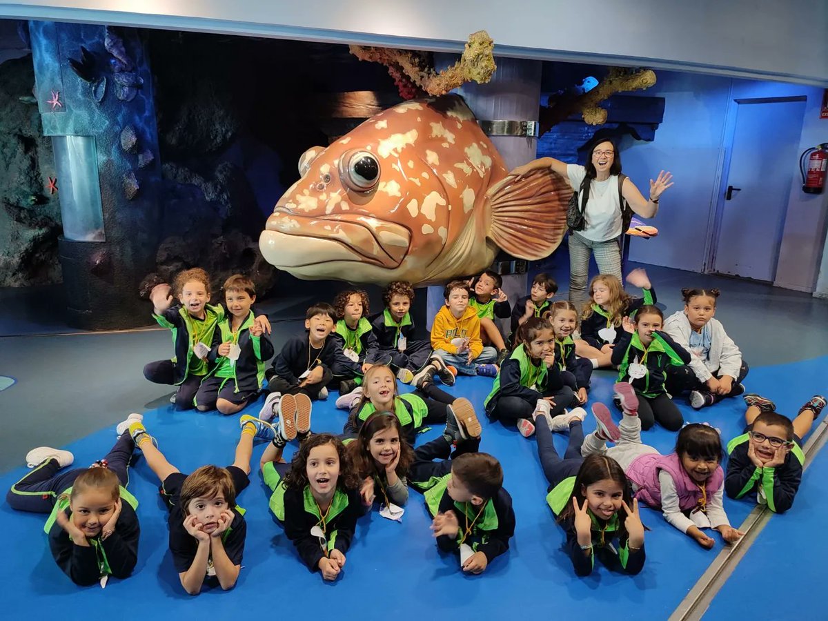 epiasabadell's tweet photo. molt grans i bonics!!!!
En altres aquaris hem observat el peix globus, el peix roca, el peix trompeta, el peix pallasso, el peix papallona, cavallets de mar i molts altres tipus de peixos. 🐡🐠🐟🐬🐋
#1RPRIPIASABADELL
#PRIMÀRIAPIASABADELL https://t.co/mbWaSmtjYL